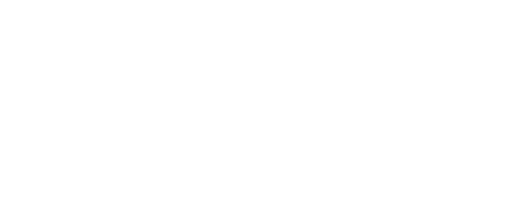 Pulsar Partners